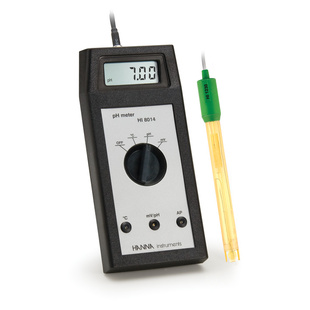 Educational pH/ORP meter
